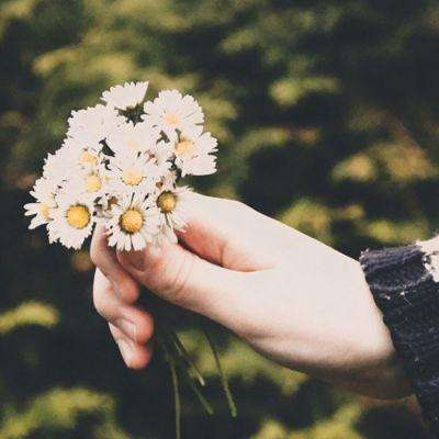 kaiyun平台app下载