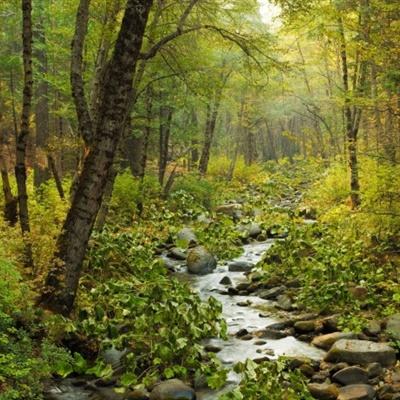 贝博bb平台体育全站版