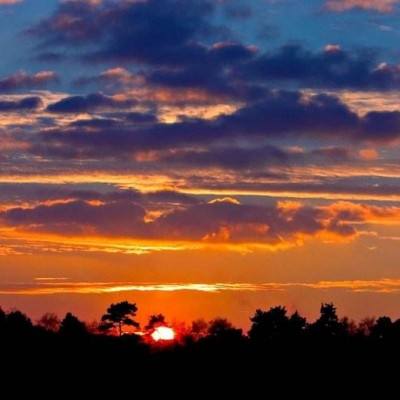 天博体育官方平台入口